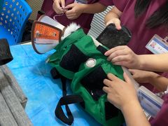 -芭比堂宠物医院·全科爱猫医院·仁德分院