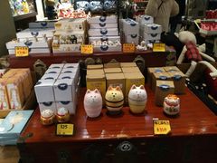 -猫咪博物馆(顶澳仔猫街店)