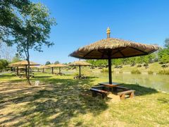 -合肥滨湖国家森林公园