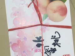 -老袁家蜜桃农场·阳山水蜜桃