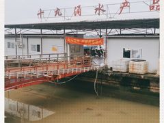 -大湾区中央湿地公园-十九涌