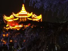 -矮子馅饼(大成路店)