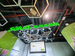 -Salud撒露欧洲冻酸奶(北苑上品店)