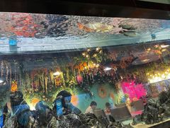 -海合安武汉极地海洋公园