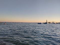 -小麦岛公园