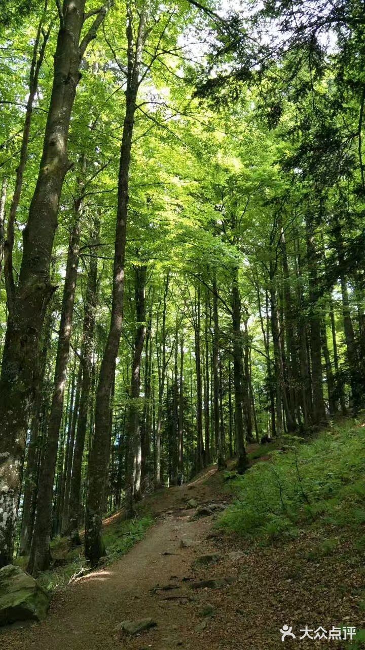 高山、草地、丛林、溪流、湖泊，一次性饱览个够