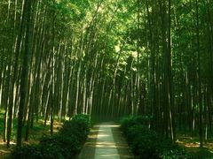 -小乡小镇·传承桐庐土菜·老板亲自烧的菜