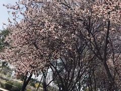 -宿迁学院