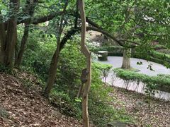 -蒋氏故居