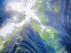 -梭布垭石林景区