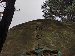 -南山植物园