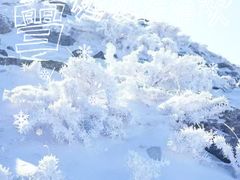 -灵山
