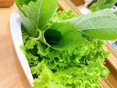 苏子叶生菜-千纸鹤嫩汁烤肉(西大直街店)