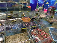 -明记海鲜大排档(巽寮湾店)
