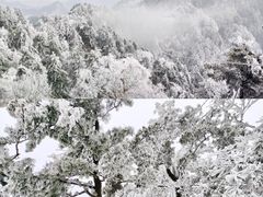 -洛阳白云山景区