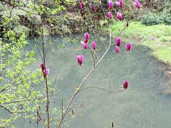 -常德桃花源景区