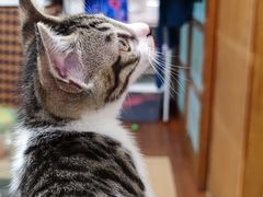 -荔康动物医院(康王北路店)