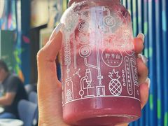 -野萃山·潮汕厚果汁(十亩地店)
