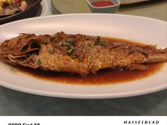 -花舍·新派粤菜·西餐·下午茶(亚运村·鸟巢店)