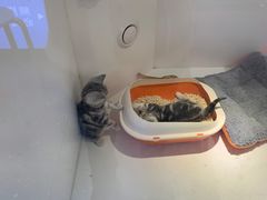 -龟与熊猫宠物公园(南坪店)