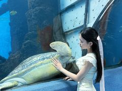 -合肥海洋世界