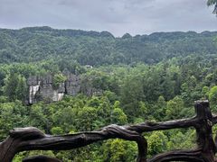 -梭布垭石林景区