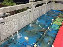 -普陀山祥生大酒店