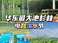 -池杉湖湿地公园