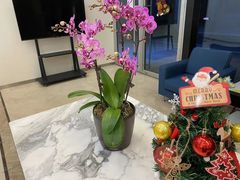 -瑞尔齿科(颐堤港诊所)