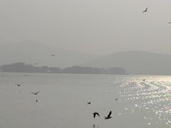 -蠡湖大桥公园