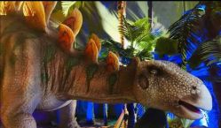 -恐龙探索乐园(磁器口店)