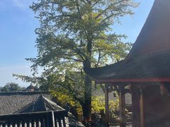-金堂县云顶石城风景区