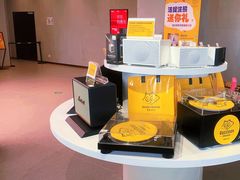 -浣熊唱片店(上海影城店)