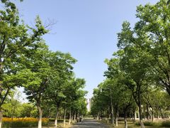 -映月湖中央公园