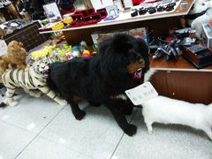 android_upload_pic-牡丹江海浪国际机场