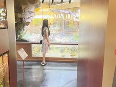 -帕帕拉兹宠物(亚洲旗舰店)