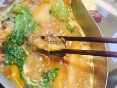 -手选潮汕鲜活牛肉火锅(二七广场店)