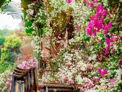 -深圳国际园林花卉博览园