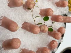 小香肠-帝皇海海鲜豆捞(桐泾商务广场店)