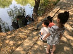 -长兴太湖图影湿地文化园