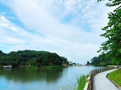 -广州市帽峰山景区