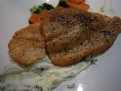 -百好乐宠物友好餐厅(朝外大街店)