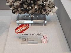 -湖南省地质博物馆