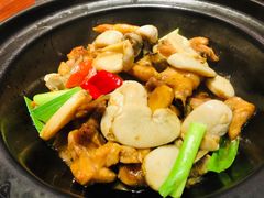 带子焖鸡-鼎盛私厨·新派顺德菜(上河坊店)