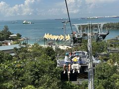 -圣淘沙天际线斜坡滑车