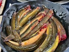 -铜元老码头鳝鱼火锅