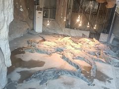 -南昌动物园
