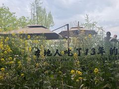 -黄山老妈·土菜(碧桂园店)