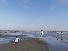 -碧海金沙