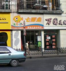 -七彩鱼儿童摄影(江汉路店)